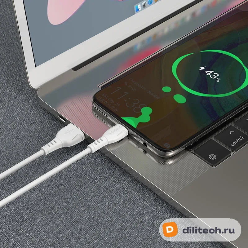 Кабель USB Type-C BOROFONE BX51 / LIGHTNING/TYPE-C, цвет чёрный — фото 5