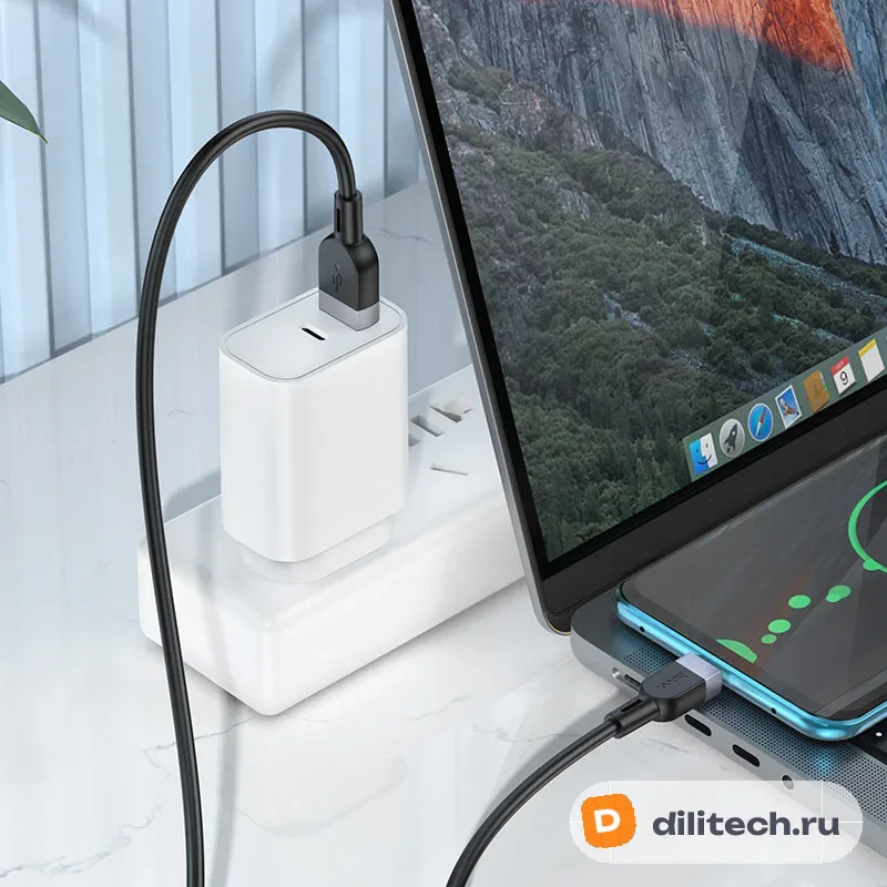 Кабель USB Type-C HOCO X109 / IOS/TYPE-C / 2M, цвет чёрный — фото 6