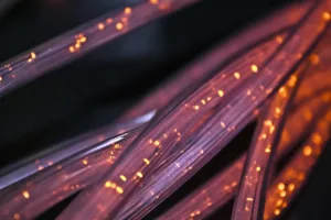 Особенности разных способов консервации