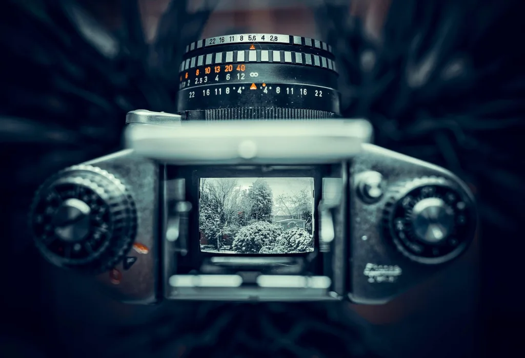 Стоимость Nikon Z5 IIС в России