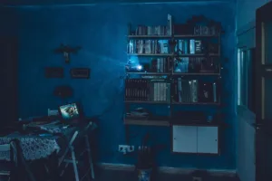 Невидимый гость