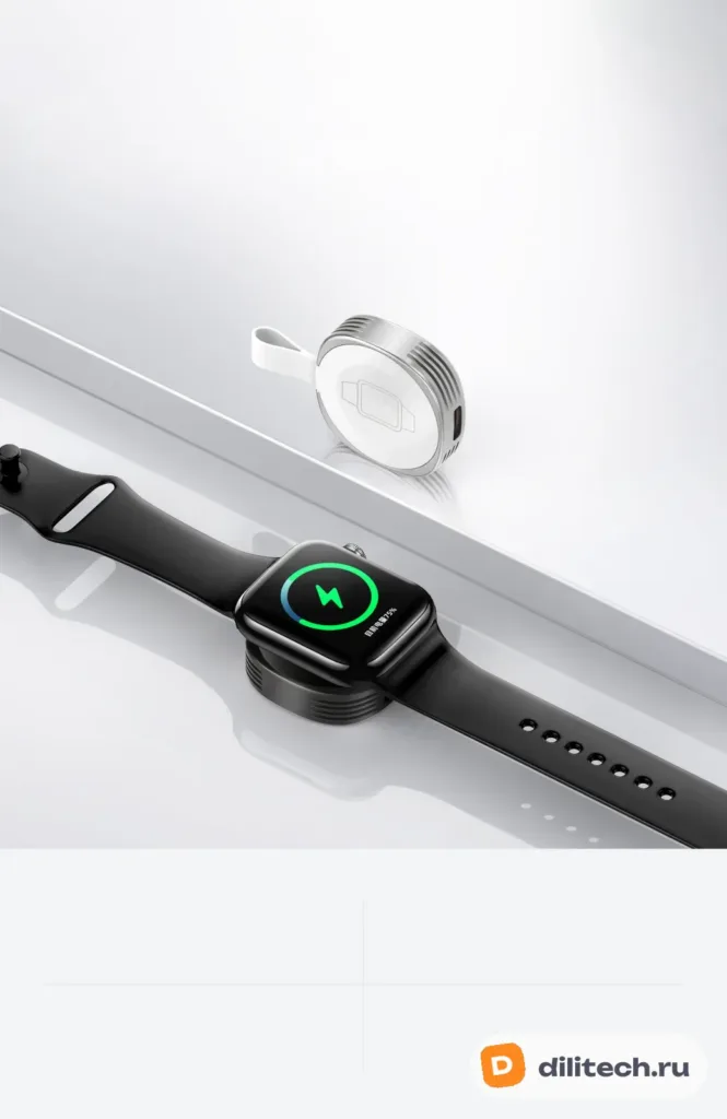 RP-W99/White Адаптер для Apple Watch